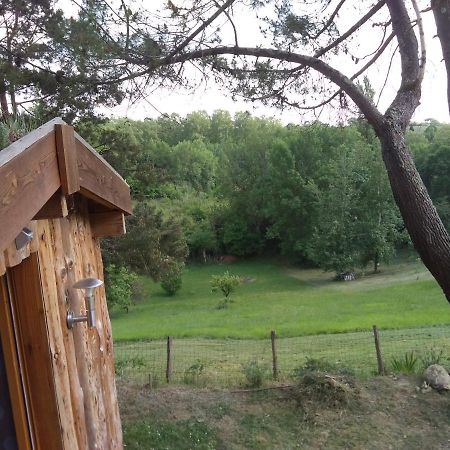 La Cabane En Bois Villemur-sur-Tarn Buitenkant foto