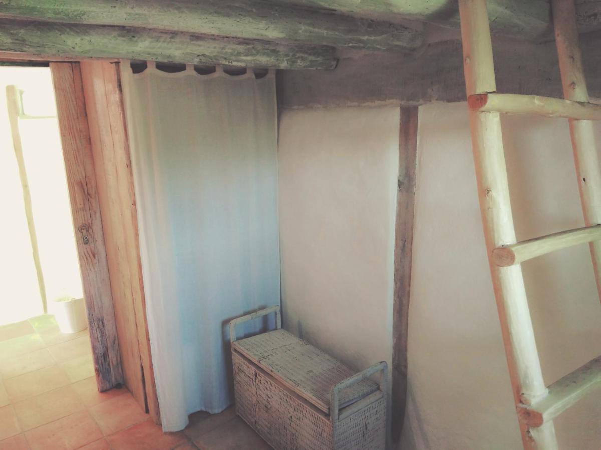 La Cabane En Bois Villemur-sur-Tarn Buitenkant foto