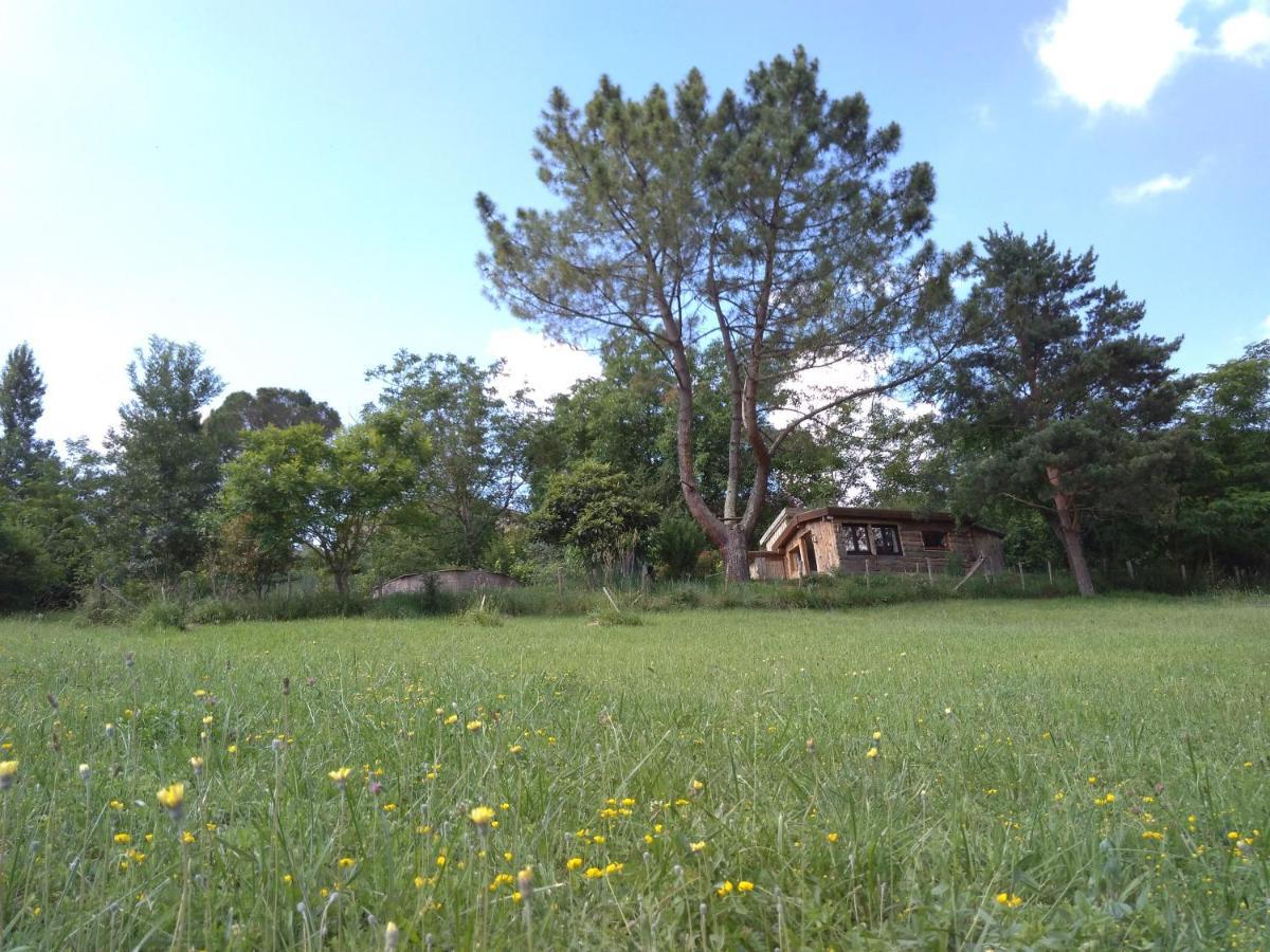 La Cabane En Bois Villemur-sur-Tarn Buitenkant foto