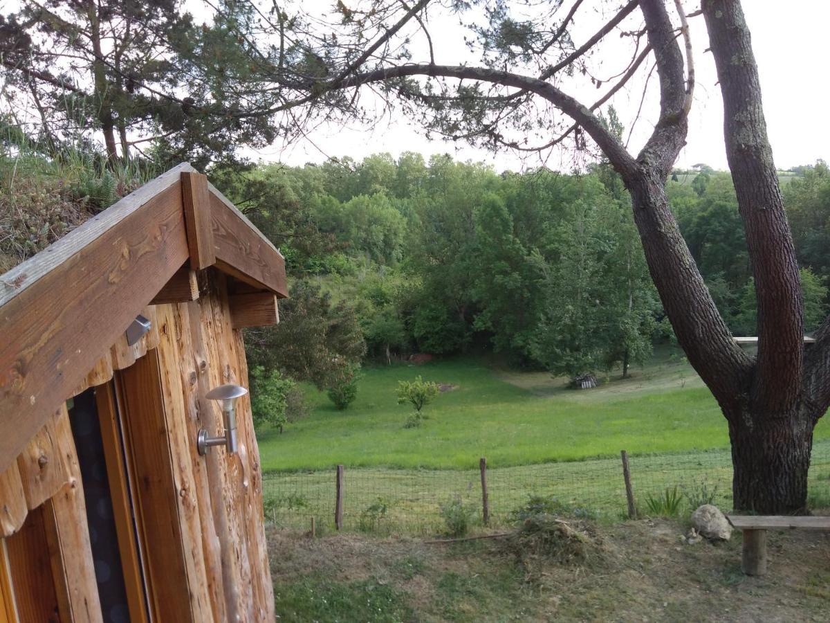 La Cabane En Bois Villemur-sur-Tarn Buitenkant foto