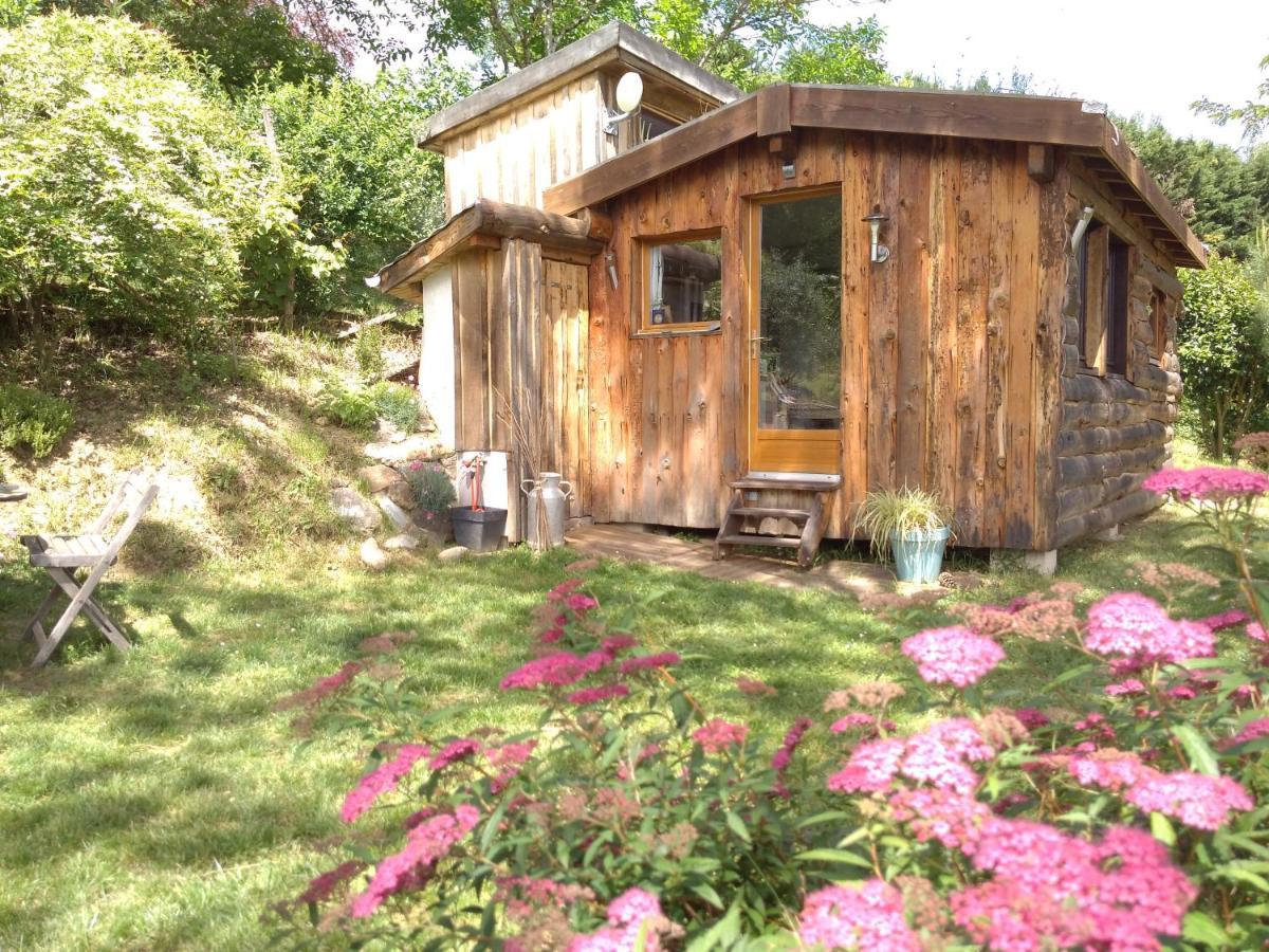 La Cabane En Bois Villemur-sur-Tarn Buitenkant foto